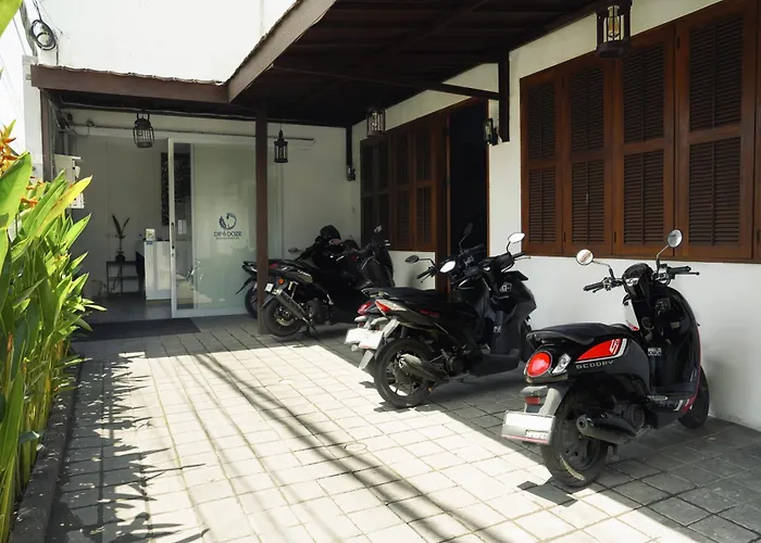Dip & Doze Living Hostel Canggu 
